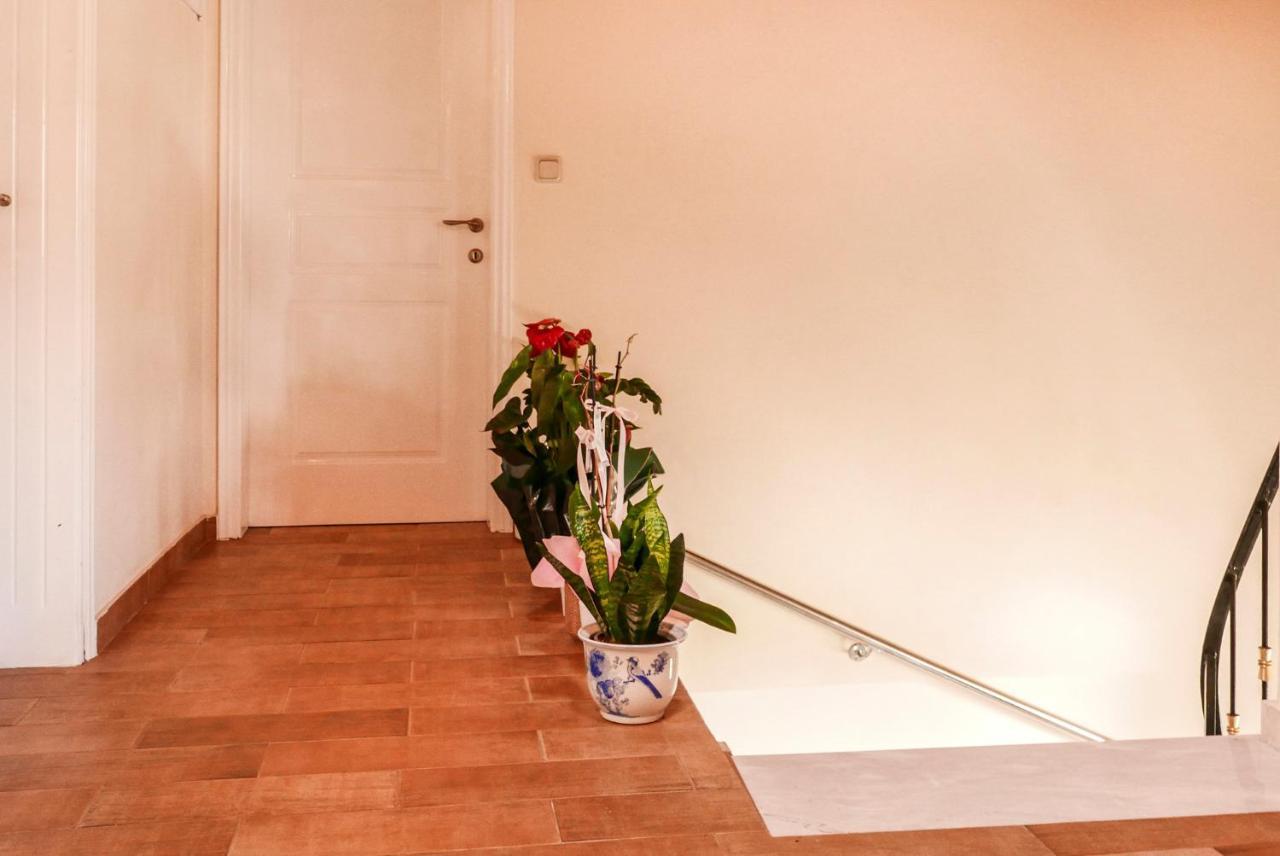 Lovely 2 Bedroom In Corfu Anemomilos Apartment *